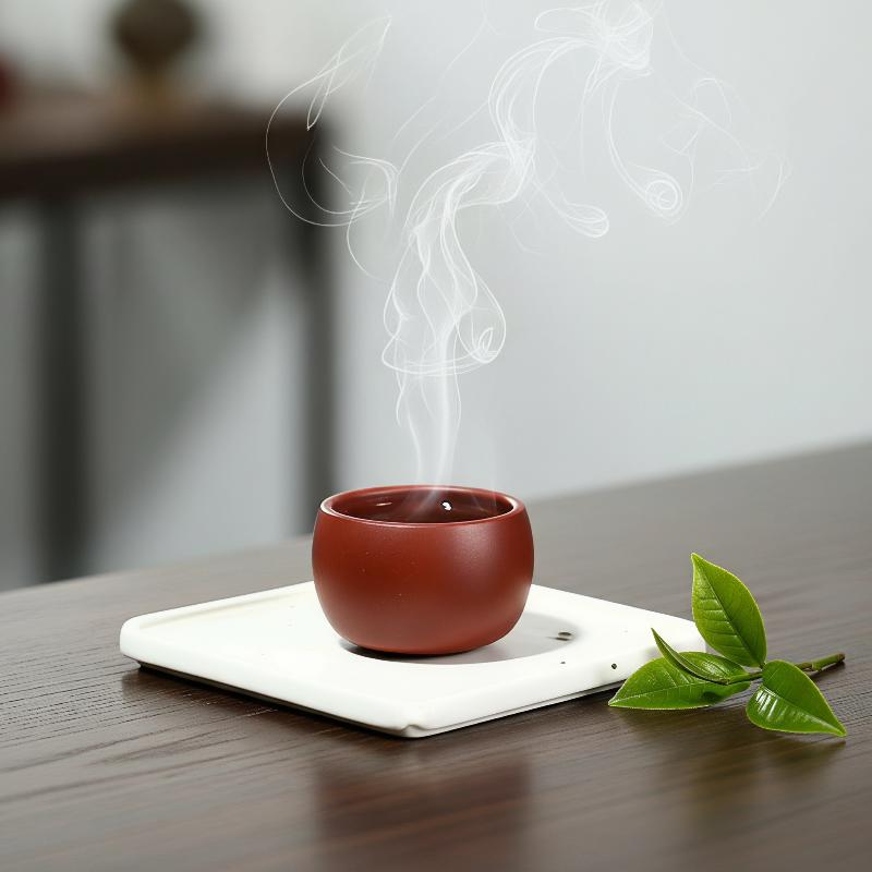 Yixing Purple Clay Travel Tea  - Handmade Ceramic Mug recension och pris